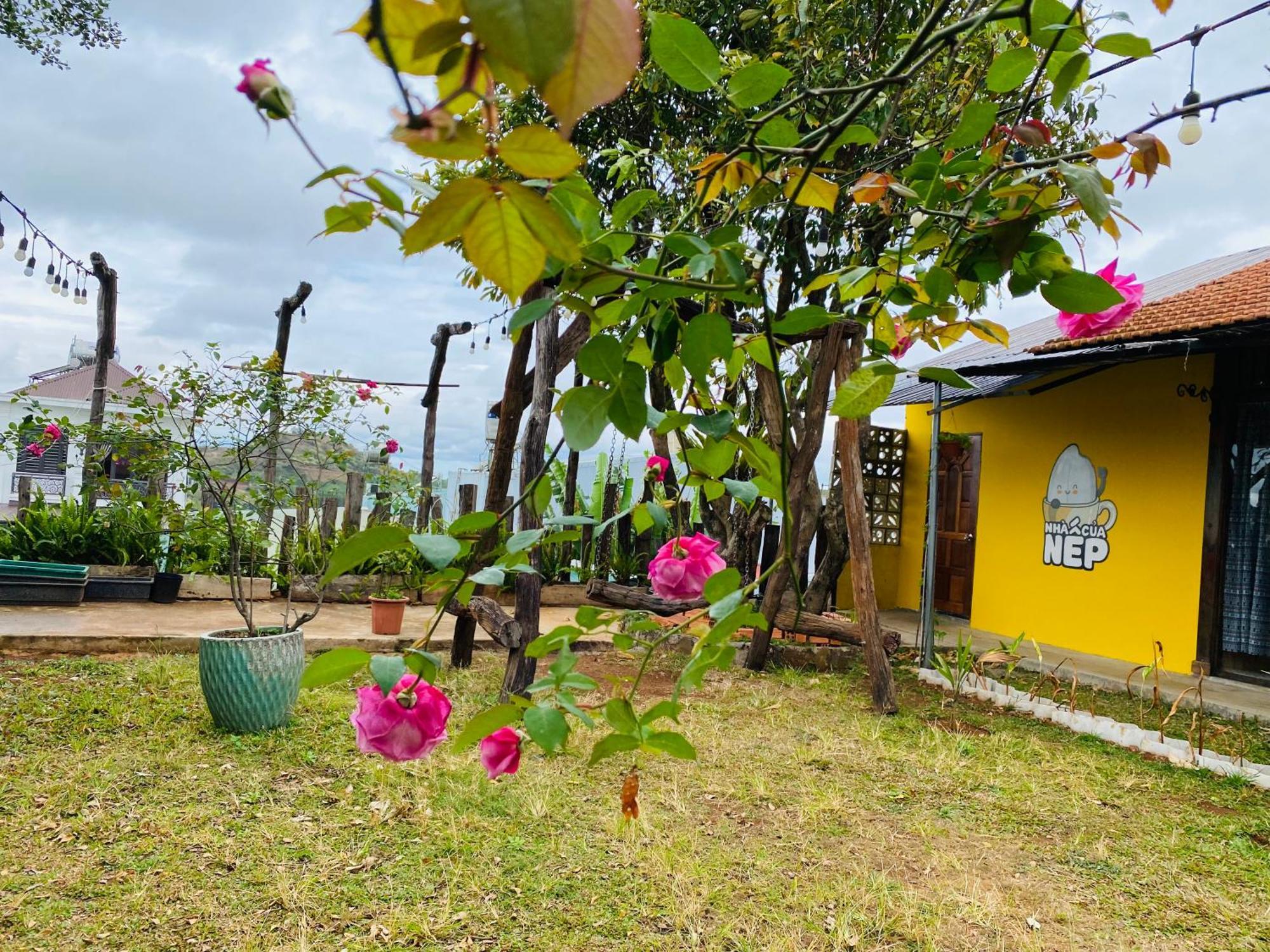Villa Nhà của Nếp à Plei Brel Extérieur photo